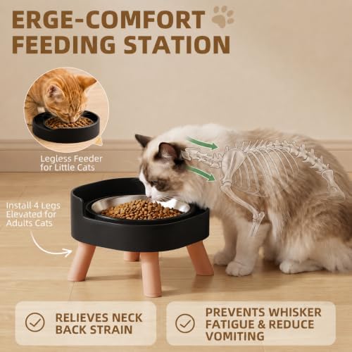 Elevated Cat Bowls, 2P Raised Cat Food and Water Bowl Set for Indoor Cats, Splash Proof with 2 Stainless Steel Food Bowls for Cats ＆ Puppies, Whisker Friendly and Dishwasher Safe - Black - Image 4