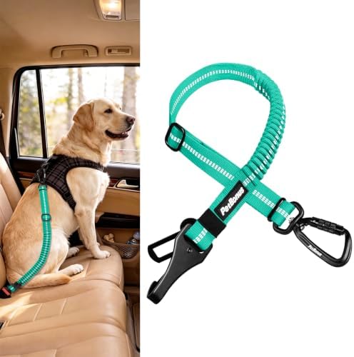 PetBonus Dog Seat Belt for Car, Durable Safe Dog Car Harness for Vehicle by Petbonus