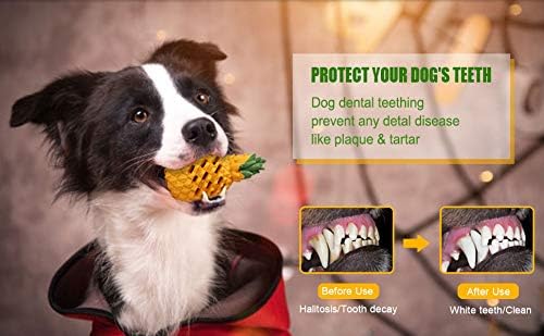 Teething Chew Toys for Puppy Small Dogs, Interactive Dog Toys to Keep Them Busy Puppies Tough Dog Dental Clean Toys