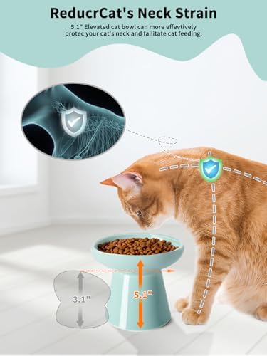 LoeJan Elevated Cat Food and Water Bowls Set, Extra Wide and Raised Ceramic Feeder, Anti-Vomit Whisker-Free Pressure Feeding Bowl for Kittens Adult Small Dogs, Blue - Image 5