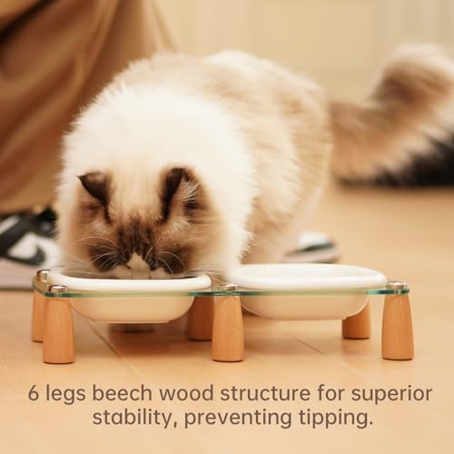 Raised Ceramic Pet Bowls with Beech Wood and Acrylic Stand, 13.5 OZ, Set of 2, for Cats and Small Dogs - Image 5
