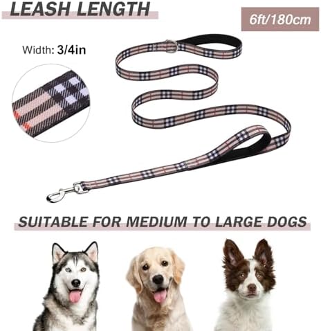 Hikiko 6FT Dog Leash Padded Double Handle with Designed Pattern - Image 6