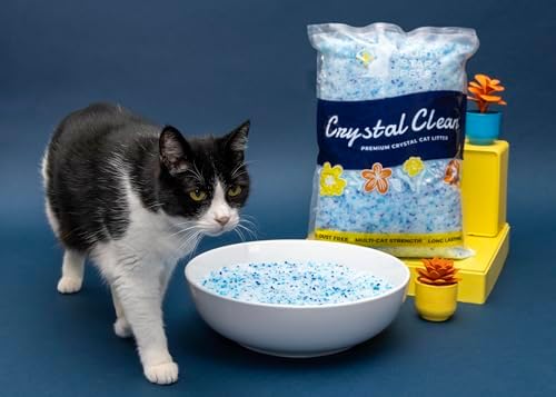 Crystal Clean Premium Fresh Scent Crystal Cat Litter with Odor Control (5X Faster), Best Lightweight, Non Clumping Kitty Litter to Absorb Urine, Dries Solid Waste (4X4.3 Lb Bags) - Image 5