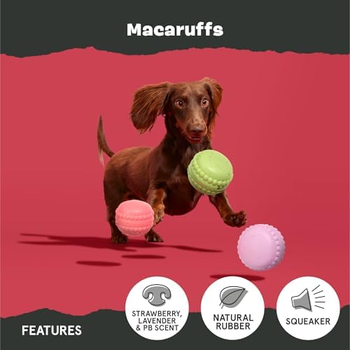 BarkBox Macaruffs - for Small Dogs - Image 4