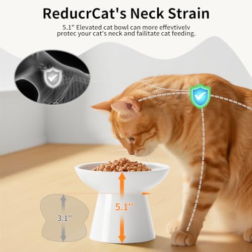 LoeJan Ceramic Raised Cat Bowls, 2 Pack Elevated Cat Food & Water Bowls Set - Image 4