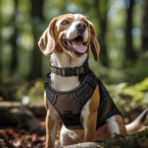 Joytale Reflective Dog Collar, Adjustable Neoprene Padded, Brown XS - Image 6
