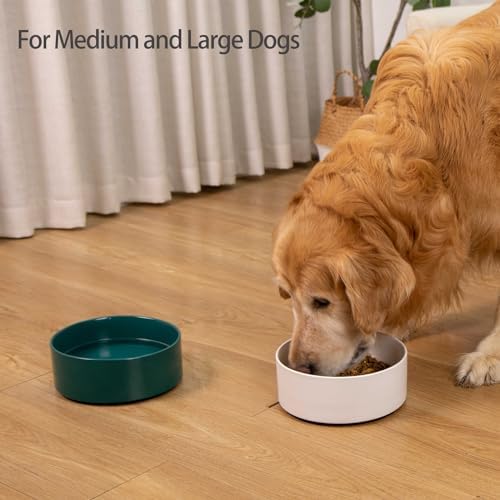 Large Dog Bowls, Non Slip Heavy Ceramic Dog Food and Water Bowl with Silicone Base, 8" Pet Feeding Bowl for Small, Medium, and Big Dogs (Green, 8 Inches) - Image 5