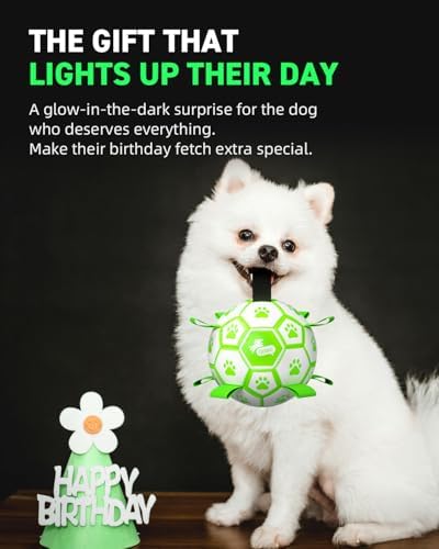 QDAN Premium Glow in The Dark Dog Toys, Dog Ball with Straps, Soccer Ball for Dogs, Outdoor Dog Toys, Pet Birthday Toys, Puppy Essentials for Medium to Large (8Inch) - Image 6
