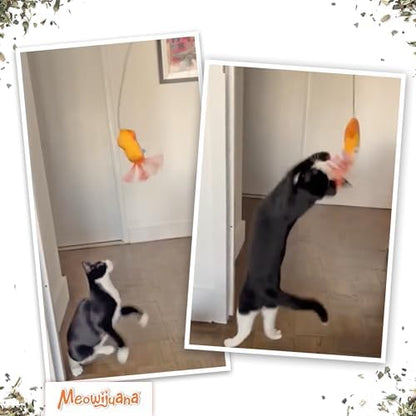 Meowijuana Jump 'n' Jamb Door Hanging Squid Cat Toy | Refillable Plush - Image 6
