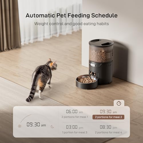 IMIPAW PET Automatic Cat Feeder: 3L Auto Food Dispenser with Timed Feeding| 6 Meal Programmable& 1-20 Portion Precise Control- Easy to Clean for Cat Indoor| Desiccant Keep Food Fresh with Staiess Bowl - Image 2