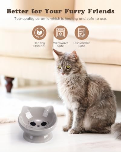 Raised Cat Food Bowl Ceramic 15° Tilted Cat Food Bowls Protect Cat's Spine Anti Vomiting Backflow Prevention Bowls for Adult Kitty, Kitten, and Small Dogs, Grey - Image 2