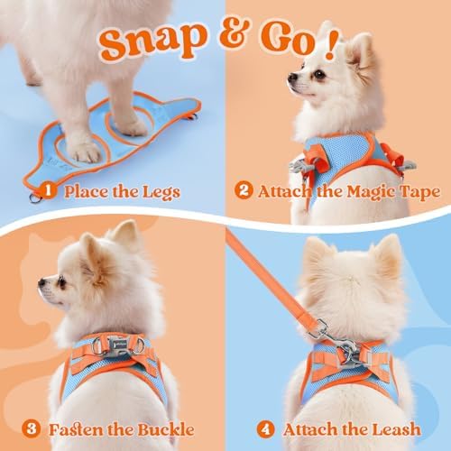 rabbitgoo Dog Harness Small Sized and Leash Set, Step in Soft Vest - Image 3