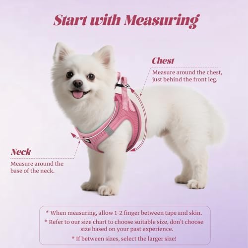 No Pull Dog Puppy Harness and Leash Set Reflective Mesh Vest X-Small - Image 2
