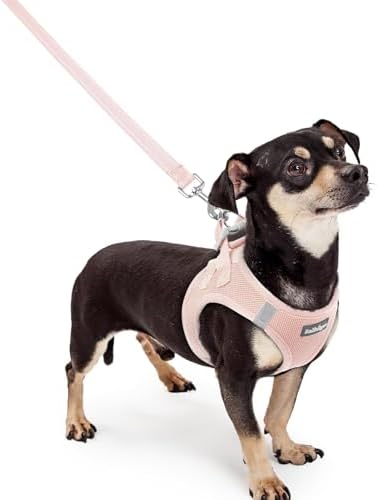 rabbitgoo Dog Harness Small Sized and Leash Set, Step-in Puppy Pet Vest by rabbitgoo