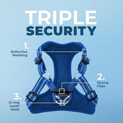 Best Pet Supplies Voyager Adjustable Step-in Flex Breathable Mesh Dog Harness for Small Medium Large Dogs Leash Set (Royal Blue), S - Image 2