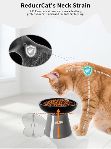 LoeJan Elevated Cat Food and Water Bowls Set, Extra Wide and Raised Ceramic Feeder, Anti-Vomit Whisker-Free Pressure Feeding Bowl for Kittens Adult Small Dogs (Black, Food Bowl) - Image 4