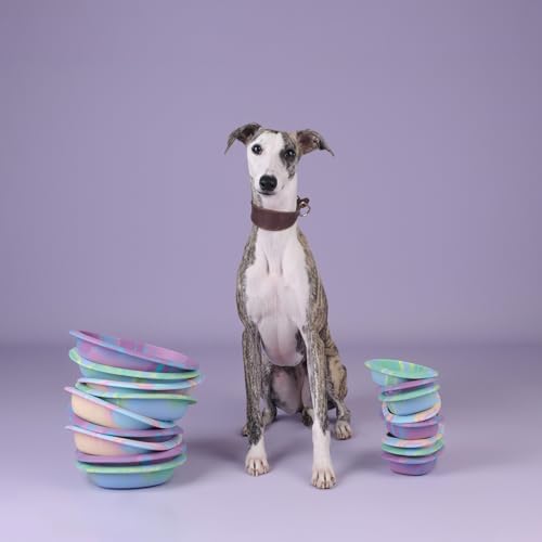 CHEWFFON Dog & Cat Lick Mat Bowls with Suction Cups, Rainbow - Image 6