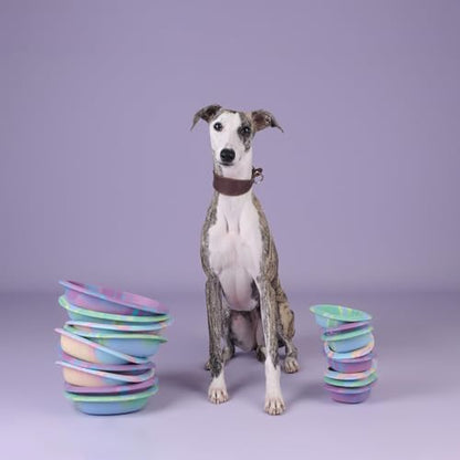 CHEWFFON Dog & Cat Lick Mat Bowls with Suction Cups, Rainbow - Image 6