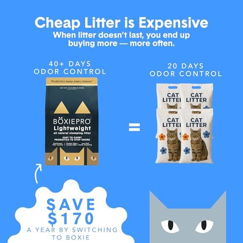 Boxie Probiotic Natural Lightweight Cat Litter 40+ Day Odor Control 11.5 lb - Image 4