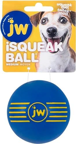 JW PET ISqueak Squeaker Dog & Puppy Fetch Chew Toy MEDIUM BALL 3 PACK - Image 4