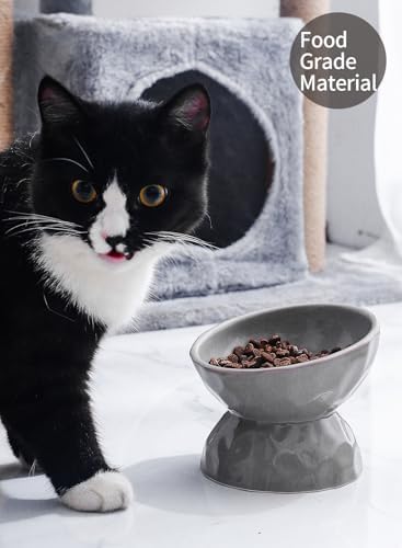 5 Inch Grey Tilted Ceramic Raised Cat Bowls Set of 2 - Image 3