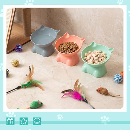 9 Pcs Plastic Raised Cat Bowls Bulk Elevated Tilted Dishes 15 Degrees Tilted Anti Vomiting Friendly Food Water Feeder Pet Slanted Stand Bowl for Indoor Cats Shelter (Cute,Vivid Color) - Image 6