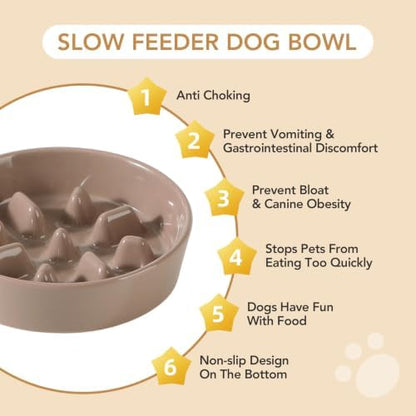 Havniva Ceramic Slow Feeder Dog Bowls, 6.1 in Slow Feeder for Small Breed - Image 6