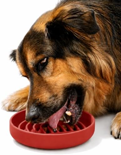Slow Feeder Dog Bowl - Silicone Dog Bowl, Medium, 7.5" x 1.5" - Cherry by ShouldWeGo