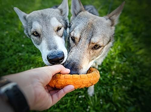 Spunky Pup Gnaw Guard Foam Dog Toy | Strong Dental Chew Toy | Promotes Healthy Teeth & Gums | Large Ring