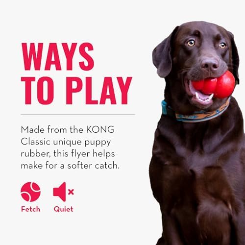 KONG Puppy Flyer, Soft Rubber Flying Disc Toy, for Small Puppies, Blue - Image 6