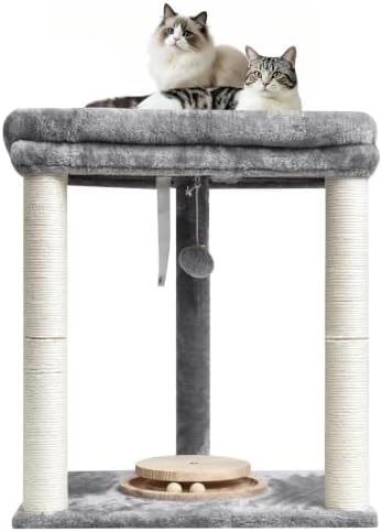 Small Cat Tree with Large Top Perch & Cat Ball Track Toy, Indoor Cat Tower by SIYIPURR