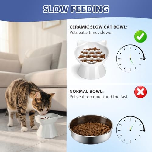Ceramic Slow Feeder Cat Bowl, 2 Cups Tilted Elevated Honeycomb Food Dish - Image 5