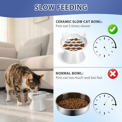 Ceramic Slow Feeder Cat Bowl, 2 Cups Tilted Elevated Honeycomb Food Dish - Image 5