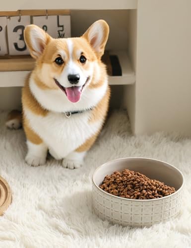 Ceramic Dog Bowls, Dog Food Bowls Water Bowl, 6.5inch Dogs Dishes for Middle and Small Size Dogs, Puppy Plates for Food, White - Image 5