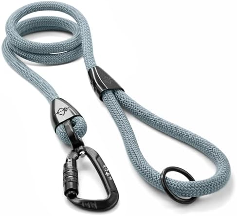 MADE TO ROAM Premium Explorer Leash - Climbing Rope Leash with Autolocking Aviation Aluminum Carabiner - Virginia Mountains, 6ft by MADETOROAM