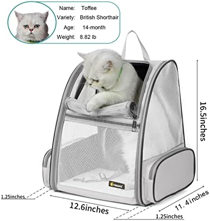 Texsens Innovative Traveler Bubble Backpack Pet Carriers for Cats and Dogs - Image 2