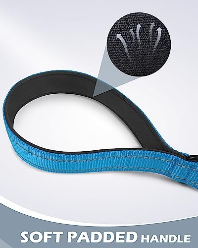 Joytale Short Dog Leash for Close Control & Training, 24", Aqua Blue - Image 3