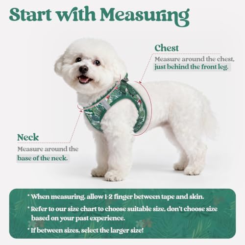 rabbitgoo Dog Harness Small Sized and Leash Set, Step-in Puppy Pet Vest - Image 2