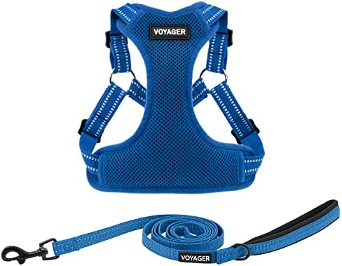 Best Pet Supplies Voyager Adjustable Step-in Flex Breathable Mesh Dog Harness for Small Medium Large Dogs Leash Set (Royal Blue), S by BestPetSuppliesLLC