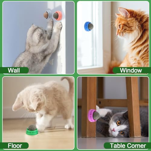KIMOBER 6 Pack Catnip Ball for Cats,Edible Kitten Chew Toys with Catnip Silvervine Gall Fruit Flavors for Cats Lick Dental Teeth Cleaning Cats Wall Treats - Image 5