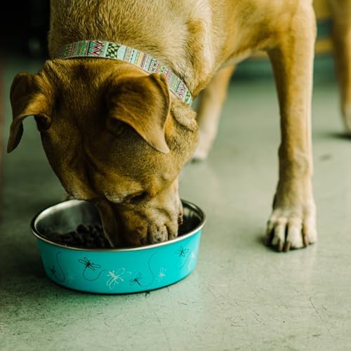Loving Pets Bella Dog Bowls- Stainless Steel Dog & Cat Bowls - Spill Proof Dog Food Bowl, Cat Bowl, Puppy Essentials & Pet Supplies Great for Home & Travel (Small 10-20 lbs, Dragonfly) - Image 5