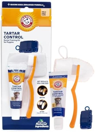 Arm & Hammer Tartar Control Puppy Dental Training Kit, Vanilla Ginger, 3 Pc by ArmHammer