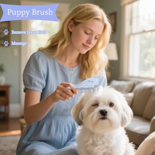 Cloud-Shaped Soft Bristle Small Dog Brush, Puppy Essentials (Blue) - Image 6
