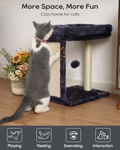 SYANDLVY Samll Cat Tree for Indoor Cats, Scratching Board Scratcher & Perch - Image 4