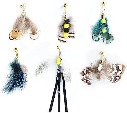 Cat Insect Feather Toys Replacement Cat Toy Wand Refills, 6 Pieces Natural Insect Cat Toy Feathers Refill, Interactive Cat Teaser Wand Attachments, with Bell by WelcometoHokoad