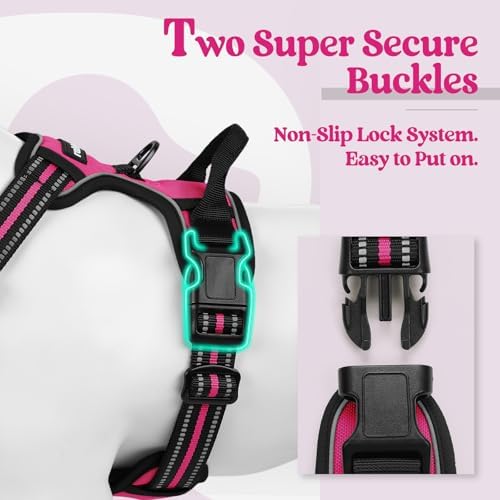 rabbitgoo Dog Harness, No Pull Medium Sized with 2 Leash Clips, Pet Vest - Image 3
