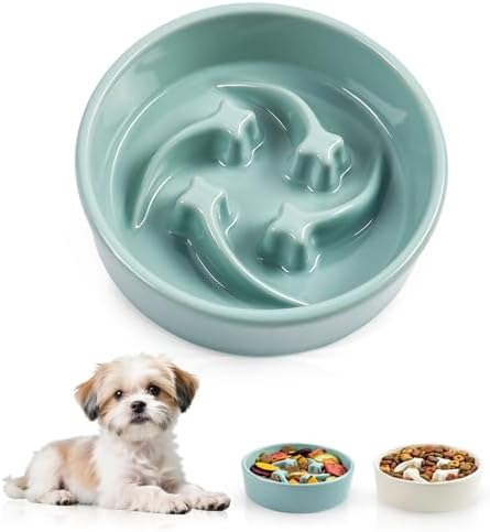 Ceramic Slow Feeder Dog Bowls, 0.6 Cups Dog Food Dish for Small Breed by Unknown