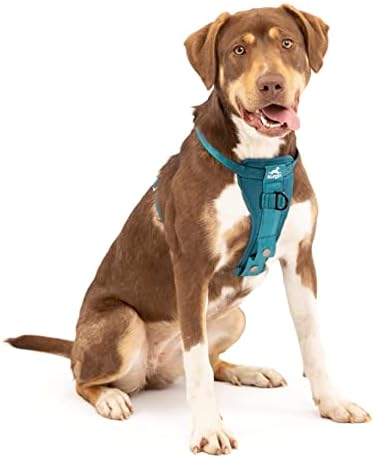 Kurgo Enhanced Strength Tru-Fit Dog Car Harness - Pet Travel Safety Harness - Crash Test Certified Fit - Five Point Adjustment - Secure Buckle - Padded Chest - Ink Blue - Medium by Kurgo
