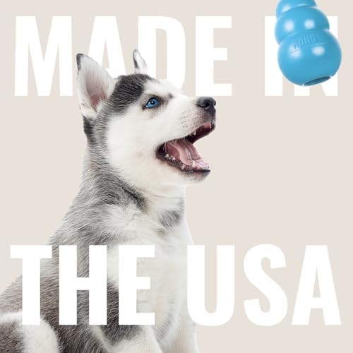 KONG Puppy Goodie Bone with Rope, Natural Rubber, for XS Puppies, Blue - Image 5