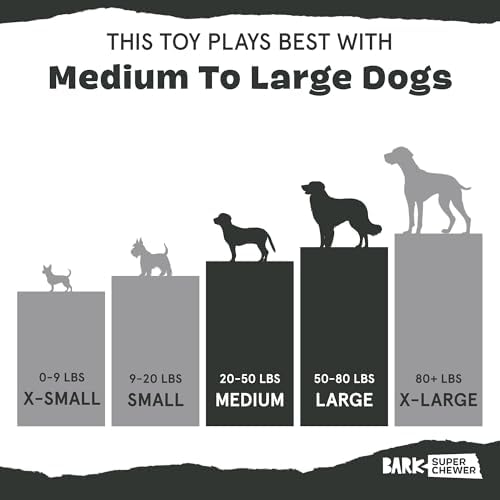 BarkBox Throwbar Super Chewer - Toy for Medium to Large Dogs - Image 6